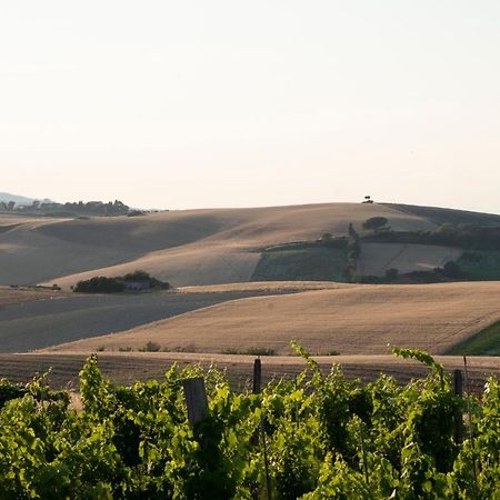 Villa Barbara Santa Luce Buitenkant foto