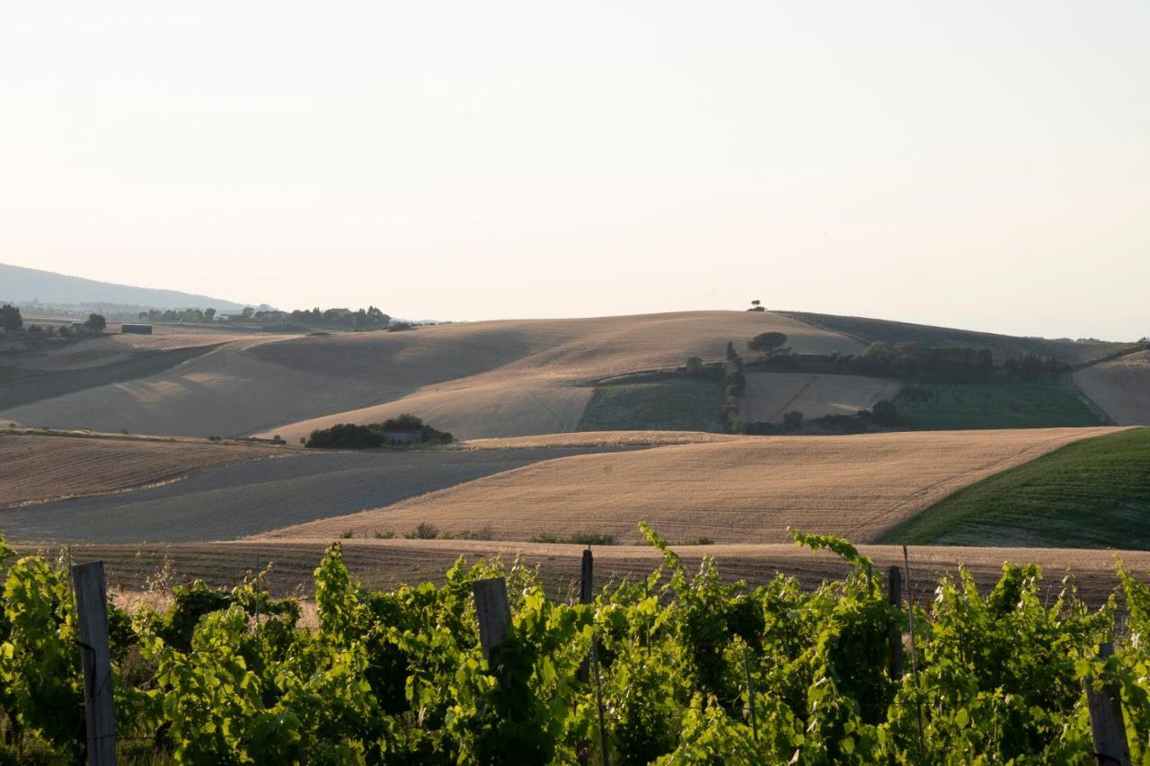 Villa Barbara Santa Luce Buitenkant foto